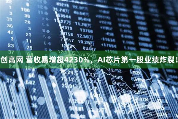 创高网 营收暴增超4230%，AI芯片第一股业绩炸裂！