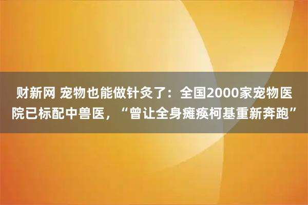 财新网 宠物也能做针灸了：全国2000家宠物医院已标配中兽医，“曾让全身瘫痪柯基重新奔跑”
